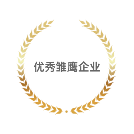 优秀雏鹰企业